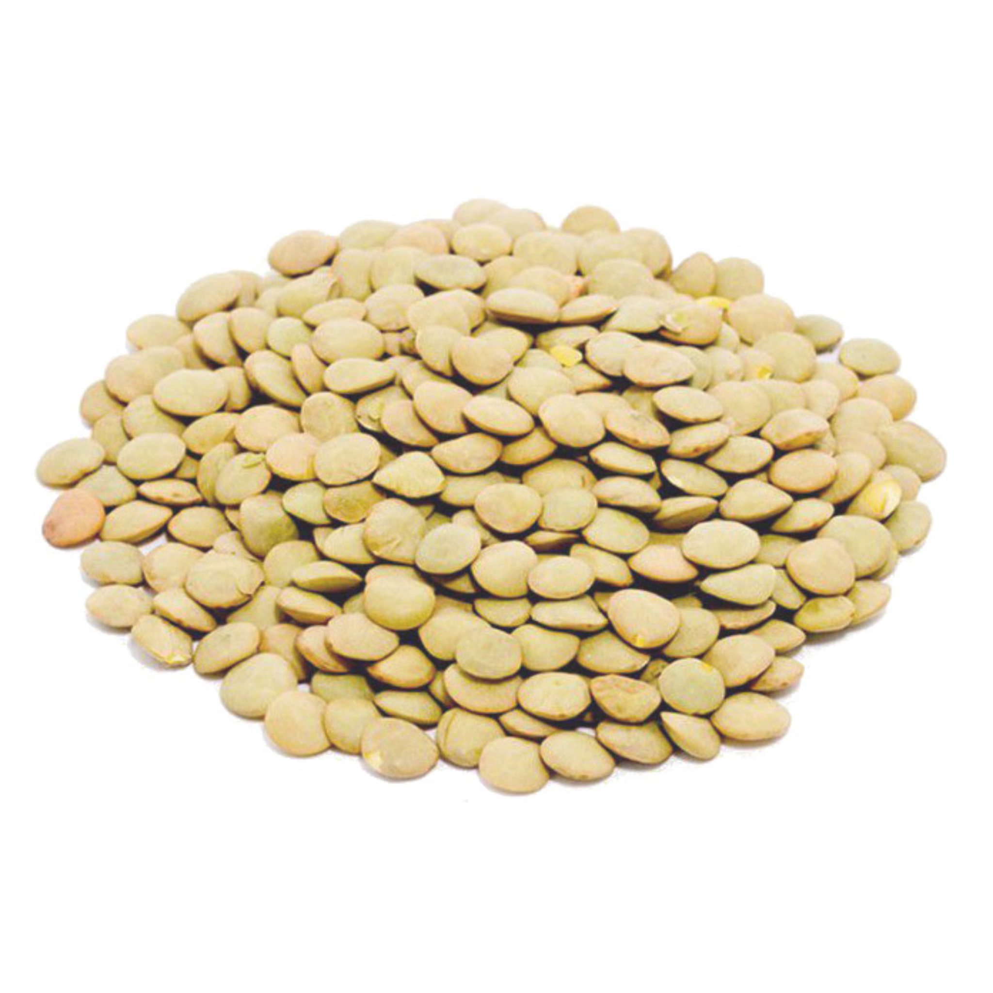 Whole Small Lentils 1lb
