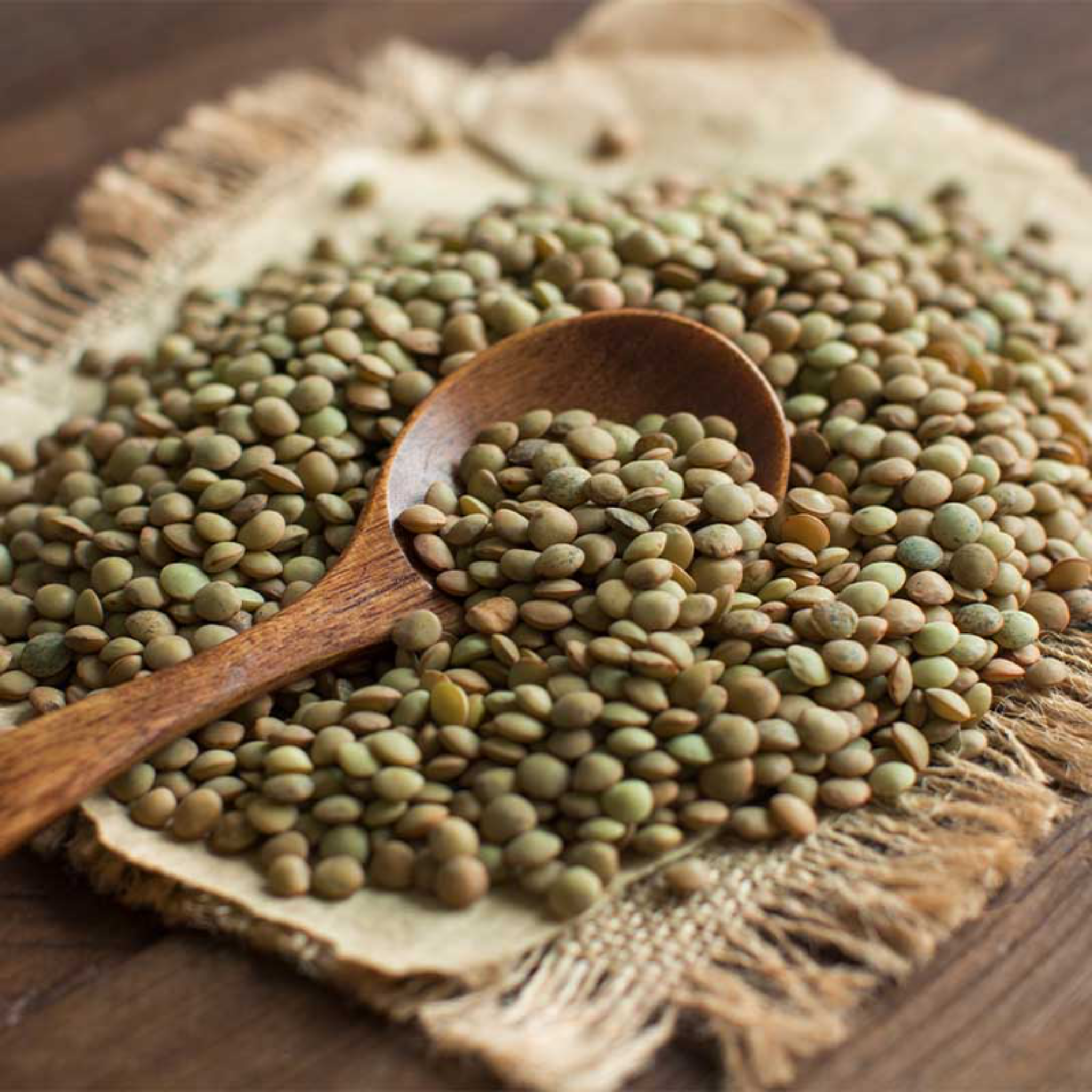 Whole Small Lentils 1lb