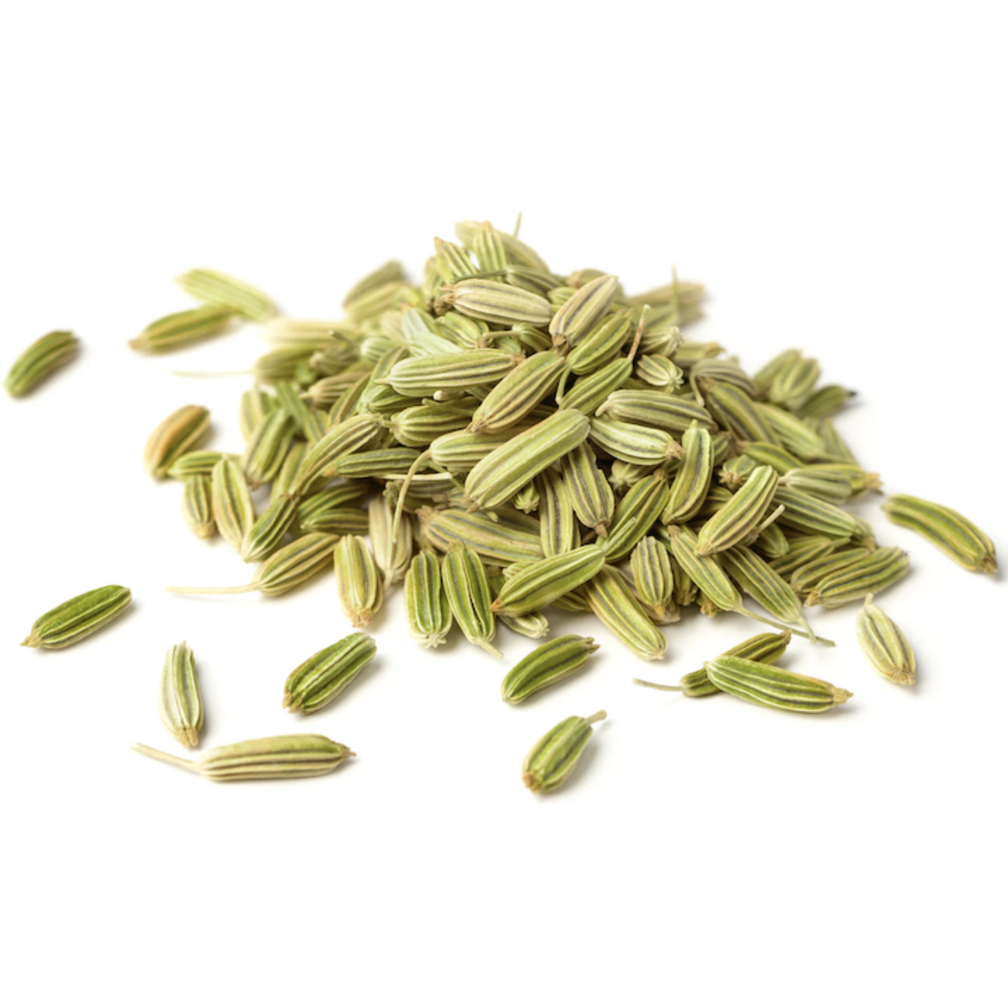 Fennel Seeds