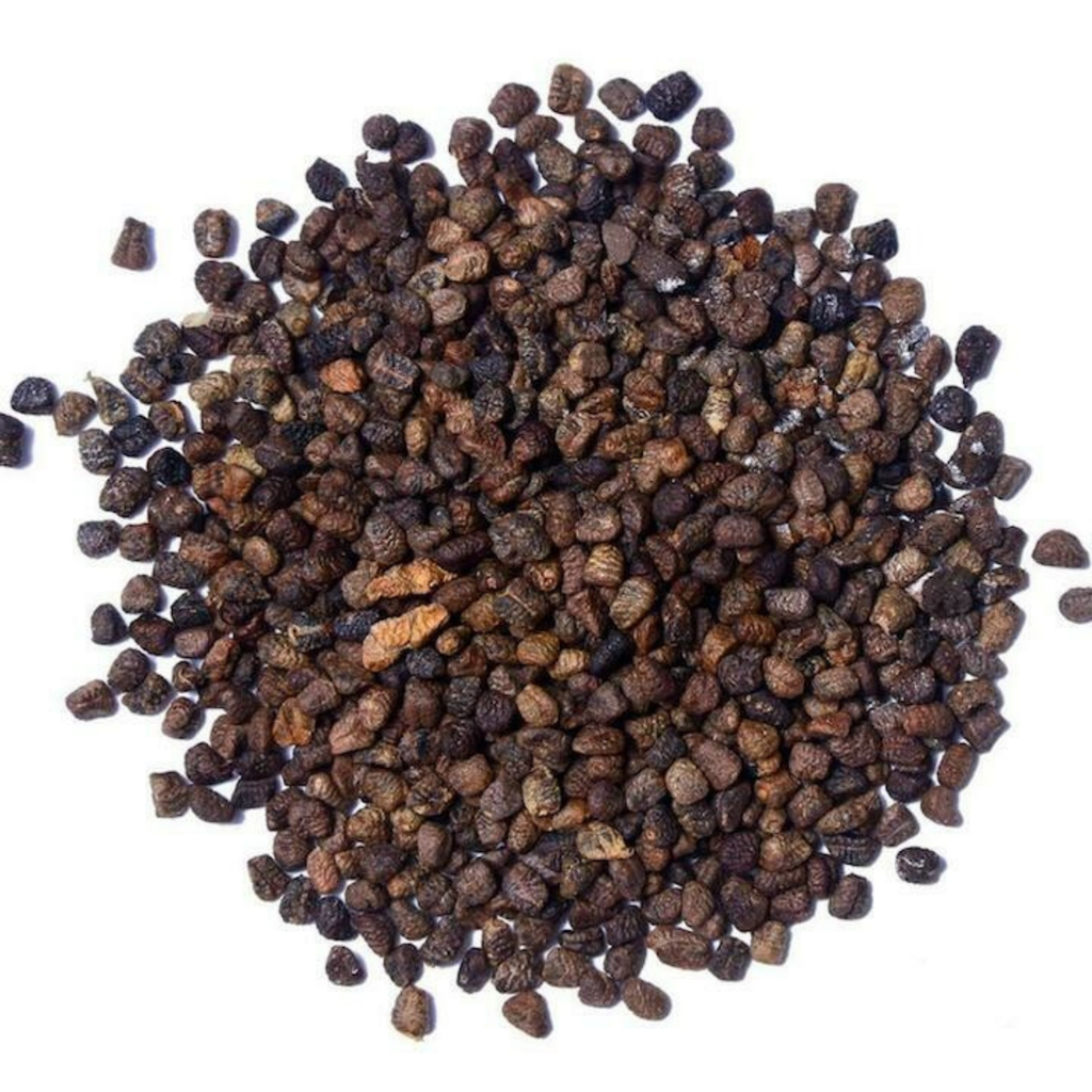 Korerima - Black Cardamom Seed የኢትዮጵያ ኮረሪማ ፍሬ