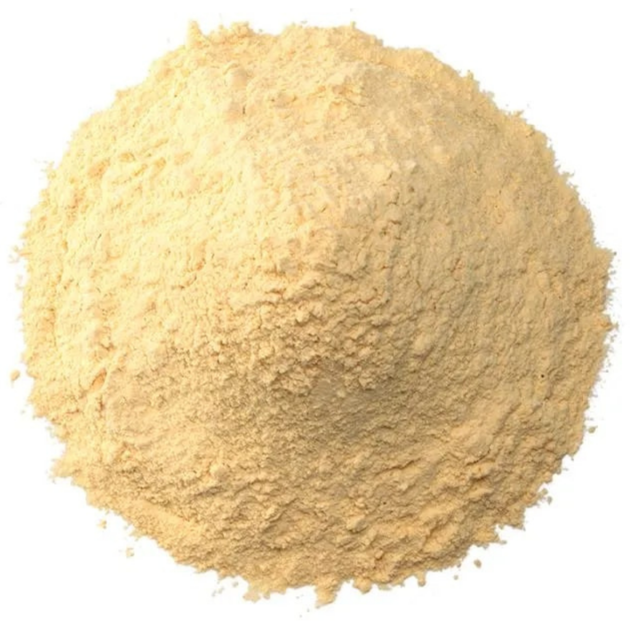 Garlic Powder Container 3.5oz