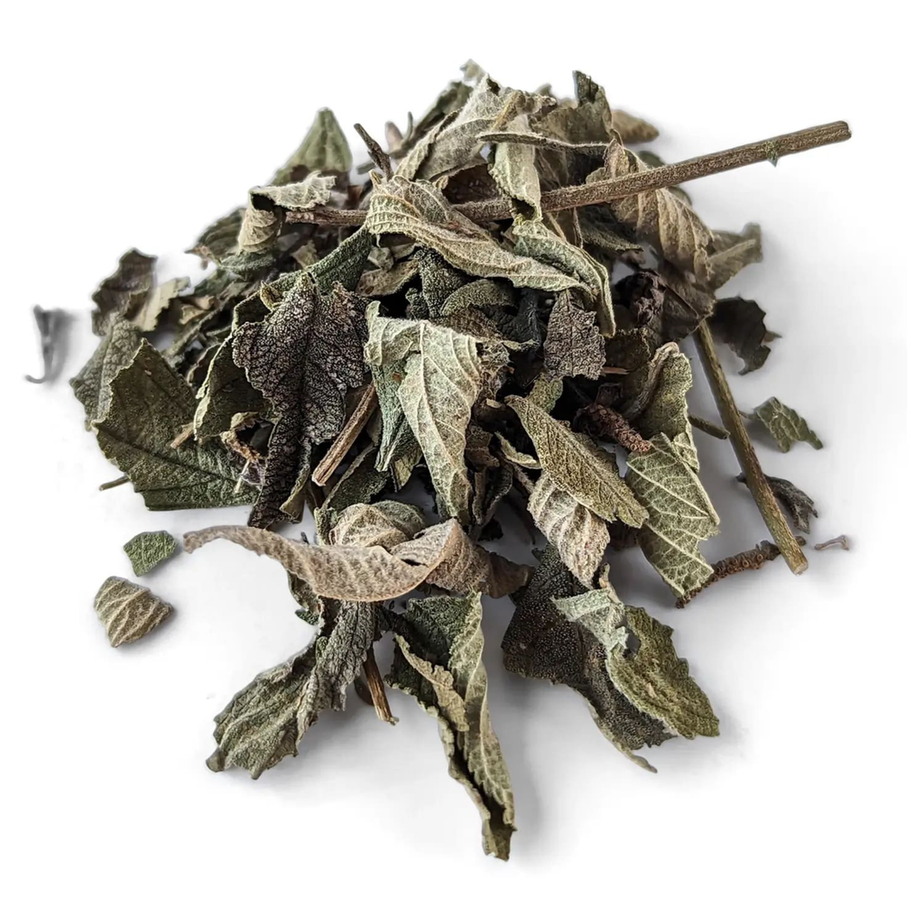 Koseret (Lippia Abyssinica) ኮሰረት