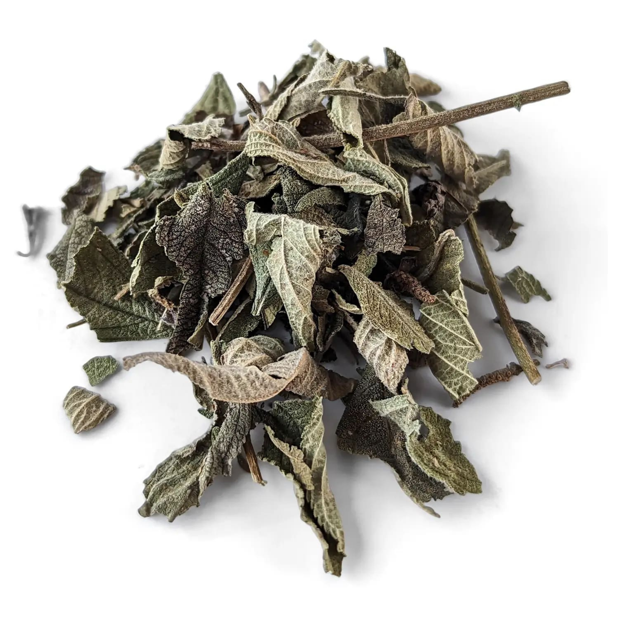 Koseret (Lippia Abyssinica) ኮሰረት