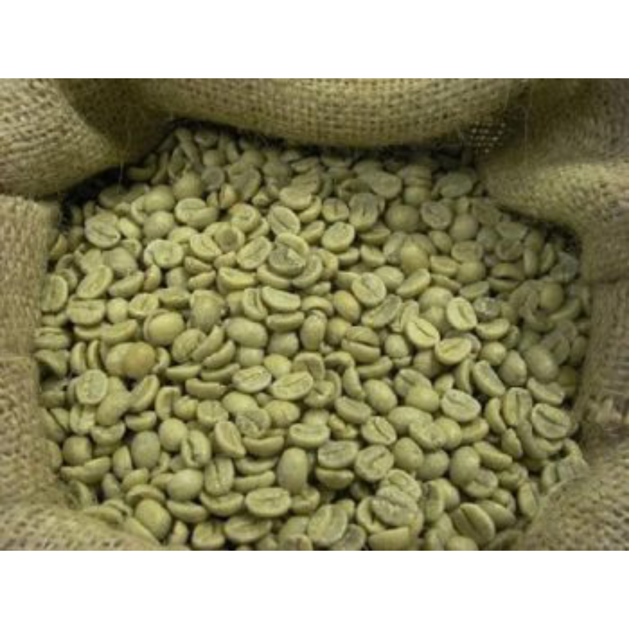 Sidamo Coffee Beans Washed