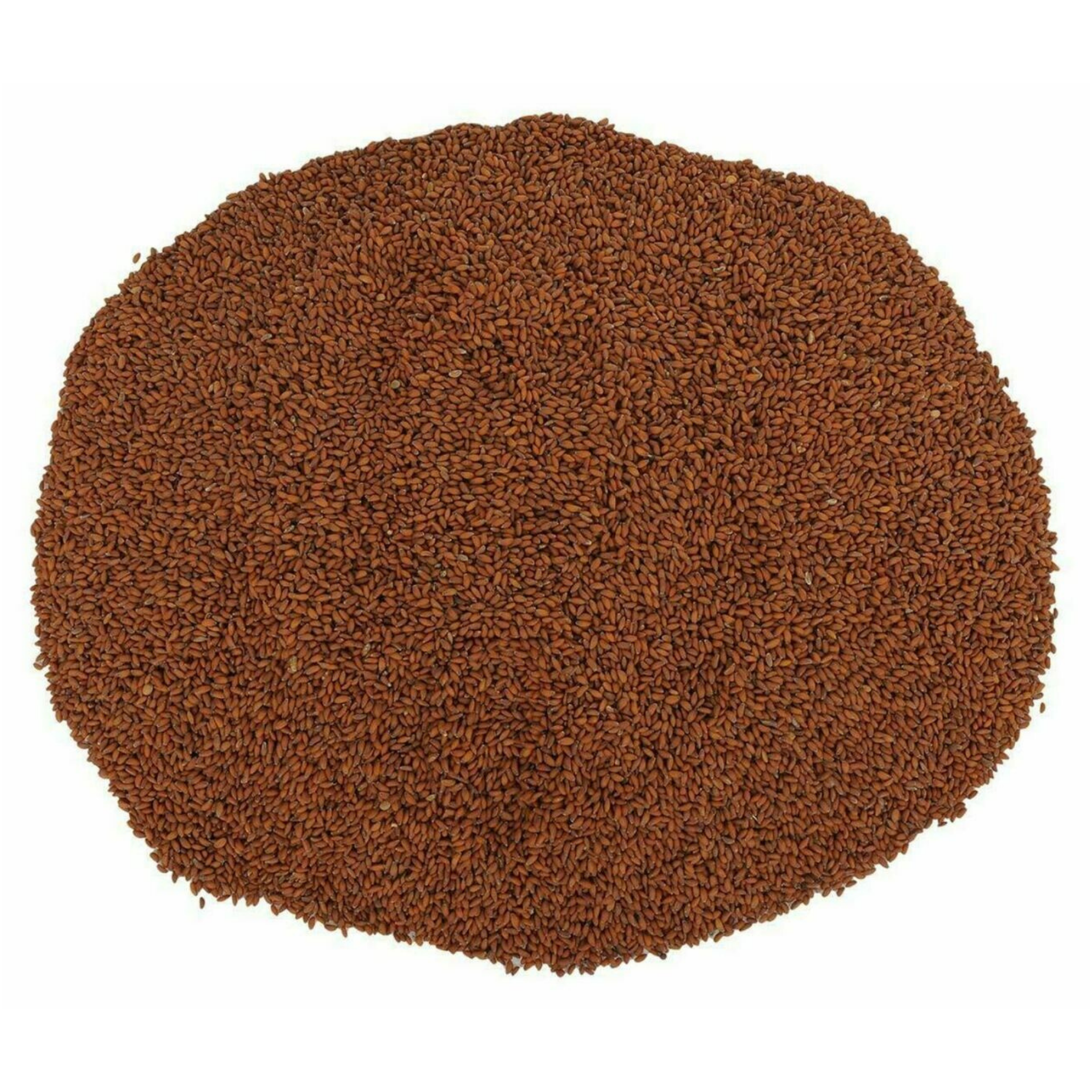 Feto (Garden Cress Seeds)
