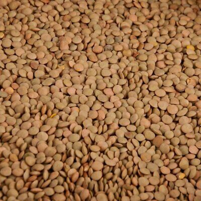 Matki, Red (Brown) Lentil Masoor Whole ድፍን ምስር 2lbs