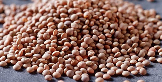 Matki, Red (Brown) Lentil Masoor Whole ድፍን ምስር 4lb