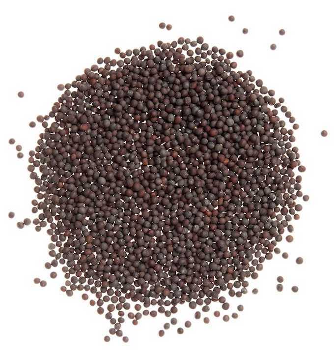 Black mustard seeds (senafch fre) 0.50LB