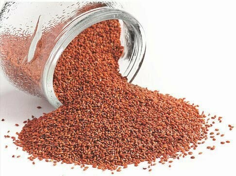 Garden Cress Seeds (Ethio Feto Fre ) 0.17lb/77g bag