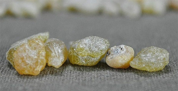 Frankincense resin gum incense 0.25lb bag 