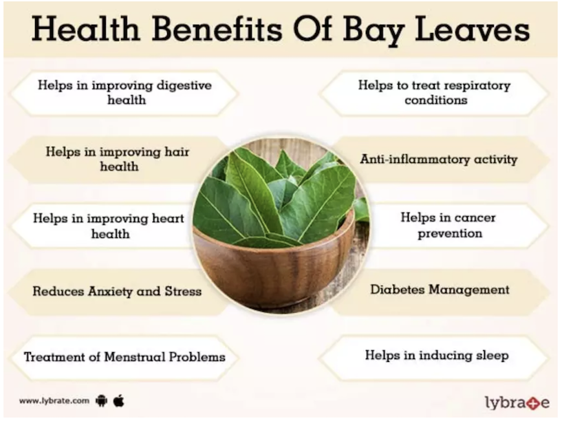 Premium Bay Leaves